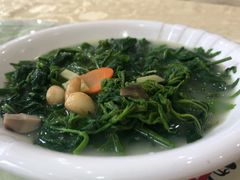鸡汤浸绿线叶野菜-茗荔园农庄(大涌店)