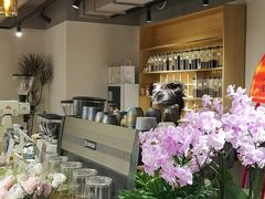-2326 Coffee Roaster咖啡豆可选店(林肯公园店)