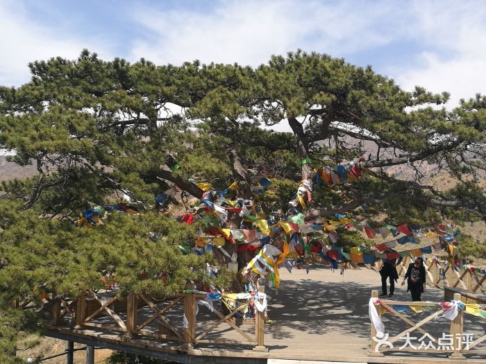 五当召景区图片