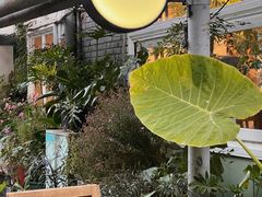 -孟林厨房(798店)