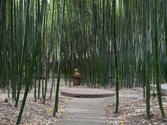 -泰山风景名胜区-普照寺