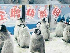 -珠海长隆海洋王国
