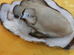 -蚝专家(北滘店)