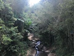 -千泷沟大瀑布旅游区