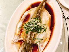 -同庆楼(滨湖万达广场店)