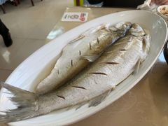 清蒸白丝鱼-芸海阁·农家私房菜(沙家浜景区出口店)