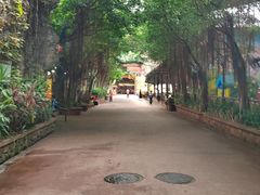 -长鹿旅游休博园