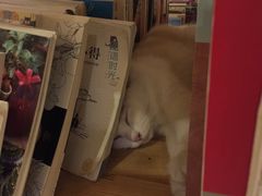 -小时光咖啡馆(开森度假森林店)