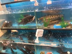 -盒马鲜生(宝地店)