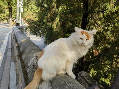 -潭柘寺景区