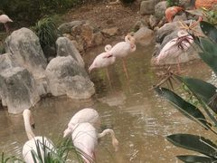 -昆明动物园