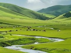 -北戴河转鱼·炒螃蟹酱餐厅