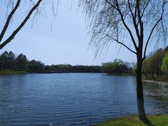 -尚贤河湿地