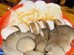 -东镇老火锅(长春路首店)