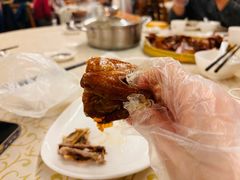 -百利鸽王(紫薇路店)