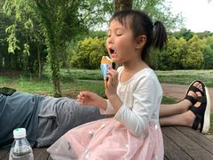 -白鹭湾湿地公园