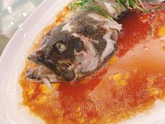 海斑鱼-海逸海鲜酒家(古北店)
