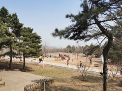 -北京西山国家森林公园