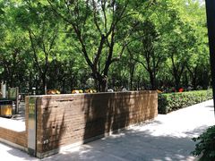 -唐城墙遗址公园