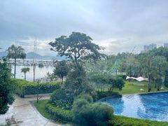 -希尔顿南海酒店·观廊大堂吧·海景下午茶