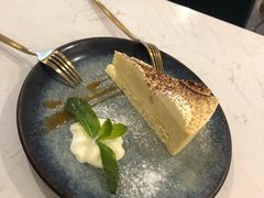 -飞行喵MR PILOT|猫舍·猫咖(静安大融城店)