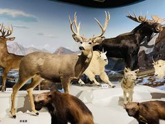 -陕西自然博物馆