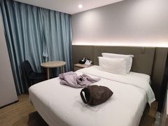 -海悦酒店(白石洲地铁站世界之窗店)