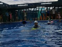 -Swim斯卫姆国际儿童游泳中心(红博中央公园店)