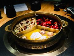 红颜花胶鸡锅-湊湊火锅·茶憩(石家庄万象城店)