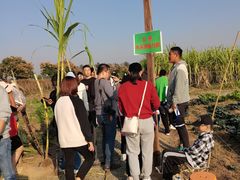 -汉长安城未央宫国家考古遗址公园