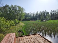 -东郊湿地公园