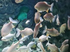 -常州海昌海洋探索馆