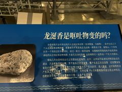 -大连自然博物馆