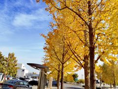 -北京市车辆管理所京海分所