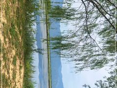 -野鸭湖国家湿地公园