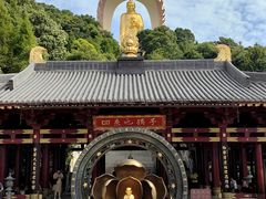 -庐山风景名胜区-东林大佛
