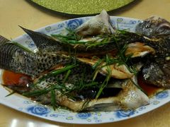 -琼海温泉鹅农家饭店