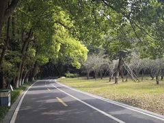 -采石矶景区