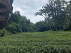 -武夷山风景名胜区-虎啸岩