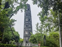 -上海佘山国家森林公园天马山园