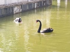 -珠海圆明新园