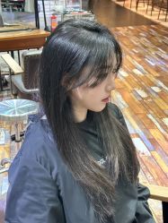 -IDOL-PLUS