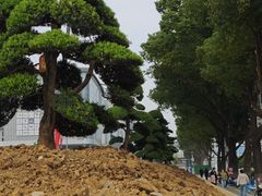 -白金汉爵大酒店(相城店)