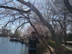 -北京植物园南门售票处