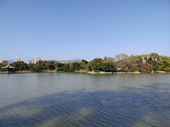 -江心屿景区