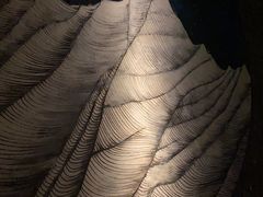 -泰之源足浴会所(玉环店)
