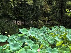 -成都杜甫草堂博物馆