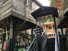 -天门沟九州驿站树上汤泉