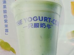 -一只酸奶牛(双流万达广场店)