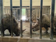 -石家庄市动物园